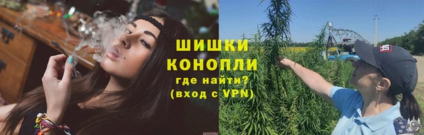 ПСИЛОЦИБИНОВЫЕ ГРИБЫ Вязники